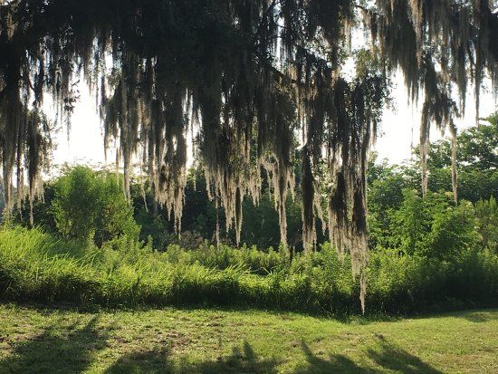 Kanapaha Park